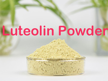 How Much Luteolin Should I Take